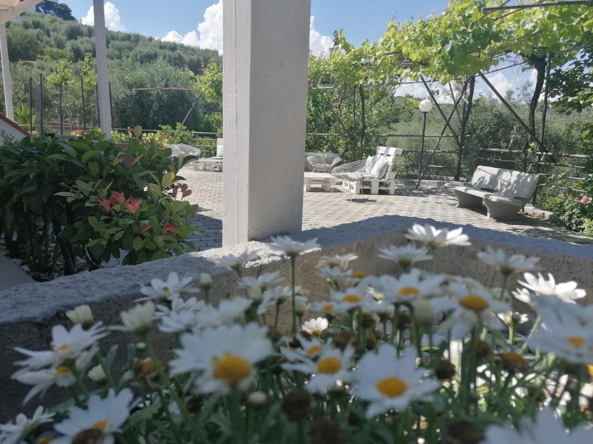 Agriturismo Valle Dei Gelsi Пешичи Екстериор снимка