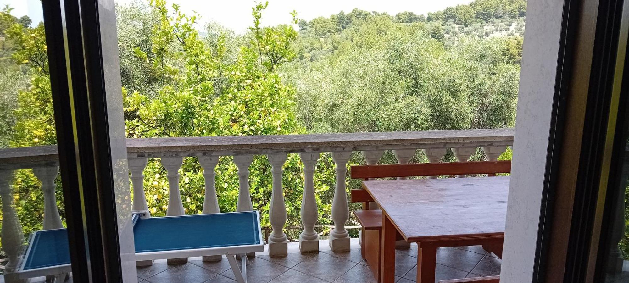 Agriturismo Valle Dei Gelsi Пешичи Стая снимка